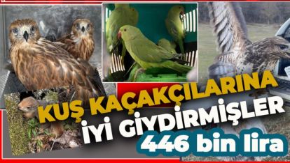 KAÇAKÇILIK İŞLERİNE BİR DE KUŞ KAÇAKÇILIĞI EKLENDİ