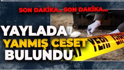 YAYLADA CESEDİ YANMIŞ HALDE BULUNDU