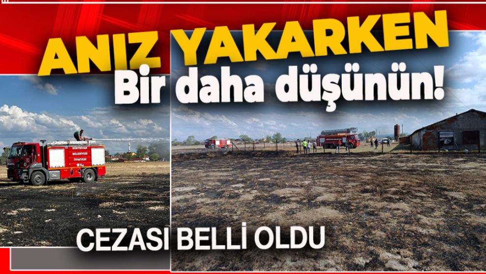 73 DÖNÜM ARAZİNİN YANMASINA SEBEP OLAN KİŞİYE BÜYÜK CEZA