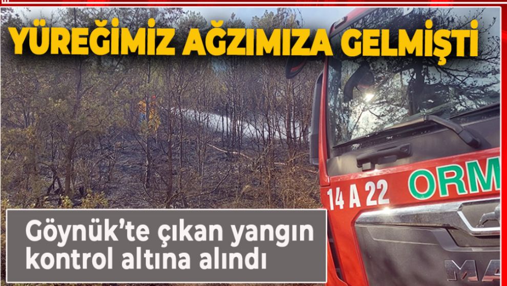 BOLU'DA ÇIKAN ORMAN YANGINI KONTROL ALTINA ALINDI