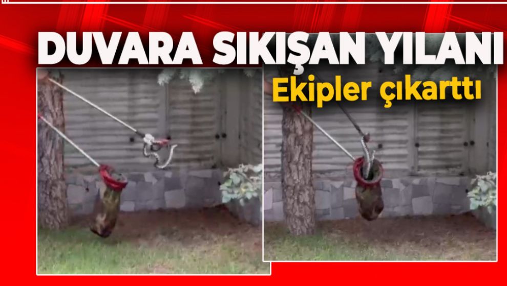 EVİN BAHÇE DUVARINA SIKIŞAN YILANI EKİPLER KURTARDI