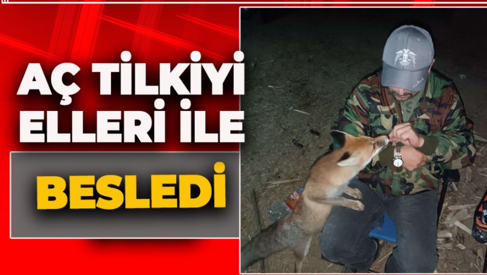 TİLKİYİ BİSKÜVİ İLE BESLEDİ