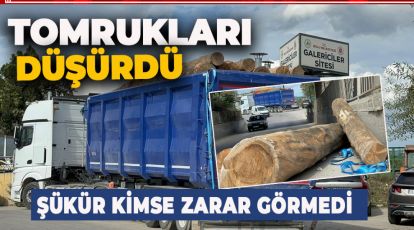 ALT GEÇİTTEN GEÇMEK İSTEYEN TIR TOMRUKLARI YOLA DÜŞÜRDÜ