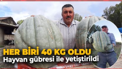 BAL KABAKLARINA "40" KERE MAŞALLAH