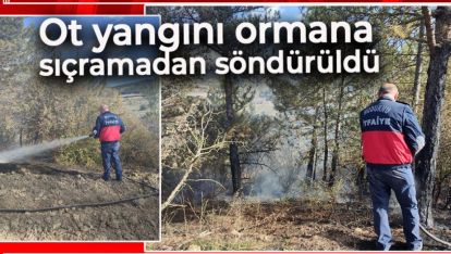 OT YANGINI ORMANA SIÇRAMADAN SÖNDÜRÜLDÜ