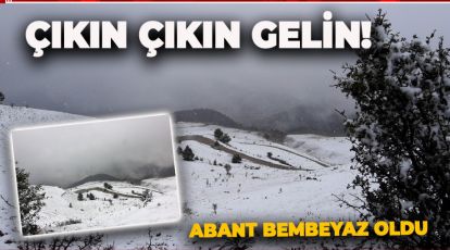 TATİLCİLERE DUYURULUR.. ABANT BEMBEYAZ...