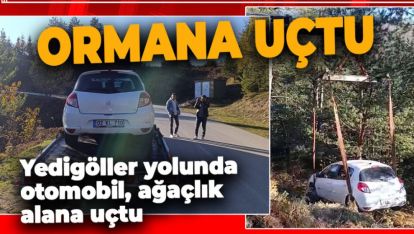 YEDİGÖLLER YOLUNDA KORKUNÇ KAZA. ARAÇ ORMANA UÇTU