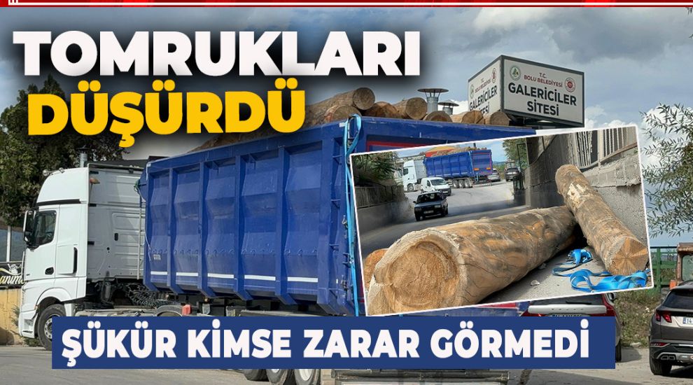 ALT GEÇİTTEN GEÇMEK İSTEYEN TIR TOMRUKLARI YOLA DÜŞÜRDÜ