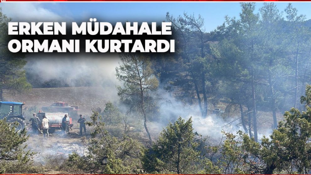 ERKEN MÜDAHALE ORMANI KURTARDI