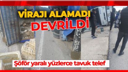 BOLU'DA VİRAJI ALAMAYAN CANLI TAVUK KAMYONU DEVRİLDİ