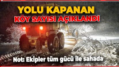 BOLU'DA YOLU KAPANAN KÖY SAYISI AÇIKLANDI