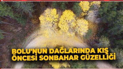 BOLU'NUN DAĞLARINDA KIŞ ÖNCESİ SONBAHAR GÜZELLİĞİ