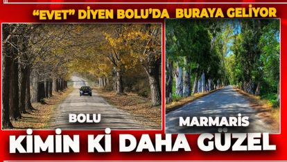 BU YOL YENİ EVLENEN ÇİFTLERİN UĞRAK NOKTASI