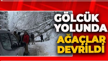 KARDAN DEVRİLEN AĞAÇLAR GÖLCÜK YOLUNU KAPATTI