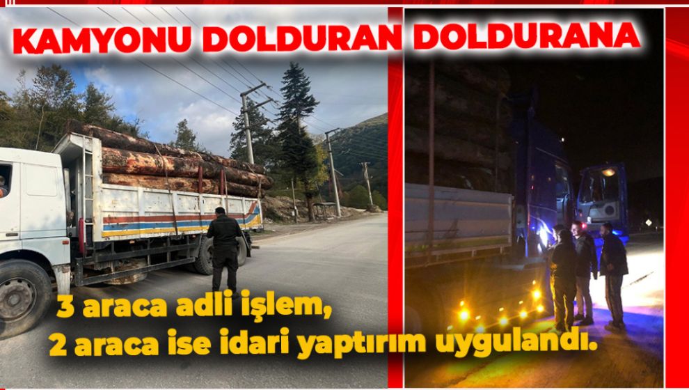 BOLU'DA ORMAN KAÇAKÇILIĞINDA BİR OPERASYON DAHA