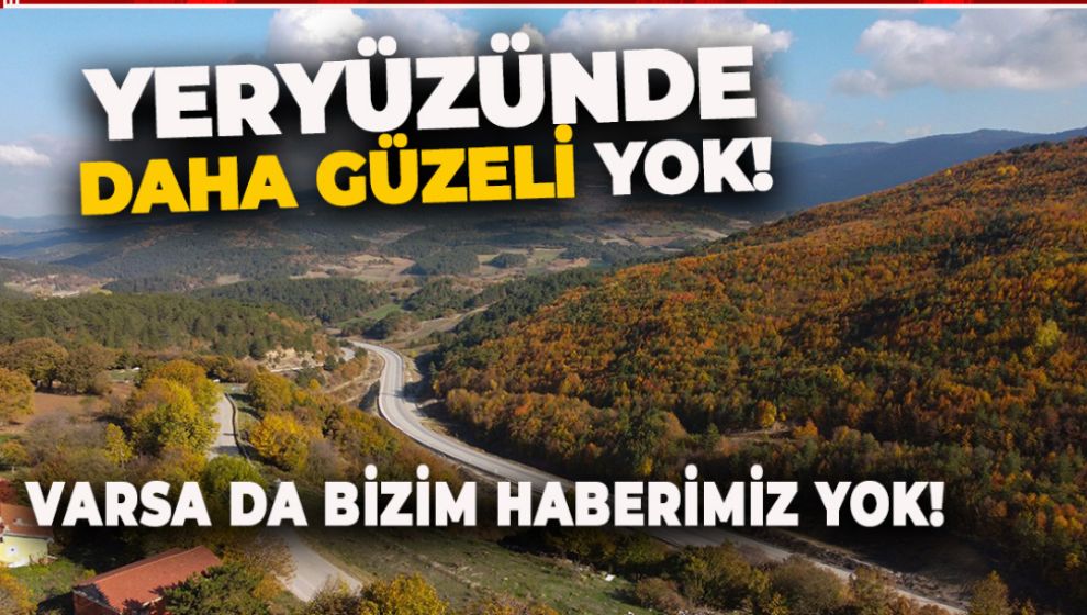 BOLU'DA ORTAYA ÇIKAN MANZARA GÖRSEL ŞÖLEN OLUŞTURDU