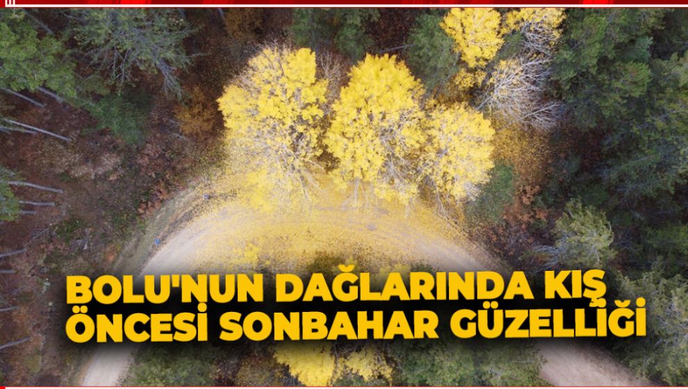 BOLU'NUN DAĞLARINDA KIŞ ÖNCESİ SONBAHAR GÜZELLİĞİ