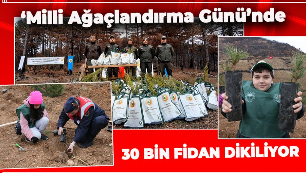 BÜYÜK YANGININ YARALARI SARILMAYA DEVAM EDİYOR