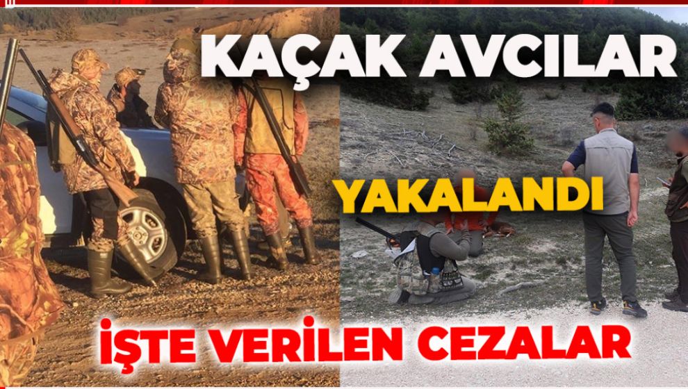 KAÇAK AVCILAR YAKALANDI, CEZALARI VERİLDİ