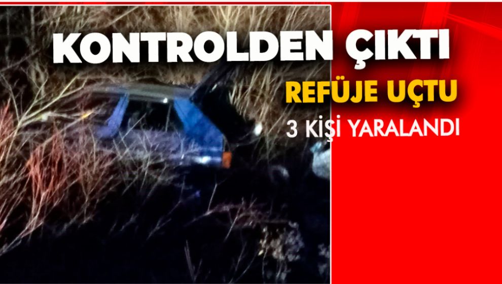 KONTROLDEN ÇIKAN OTOMOBİL REFÜJE UÇTU: 3 YARALI