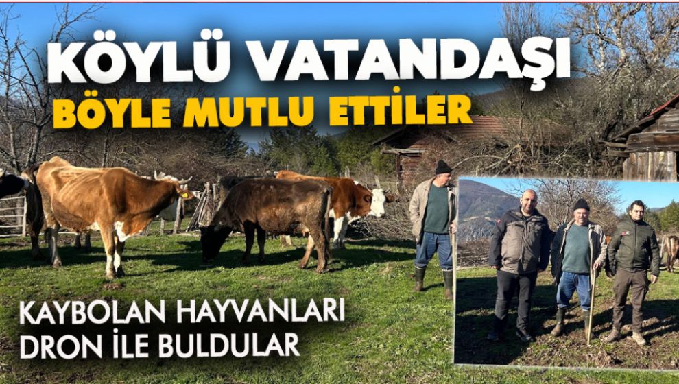 4 GÜNDÜR KAYBOLAN HAYVANLARI DRONE YARDIMI İLE BULDULAR