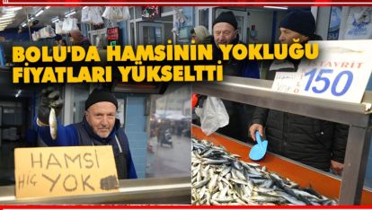 BOLU'DA HAMSİNİN YOKLUĞU FİYATLARI YÜKSELTTİ