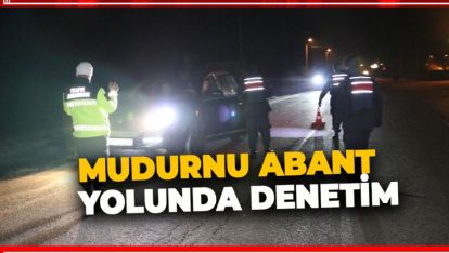 MUDURNU ABANT YOLUNDA DENETİM